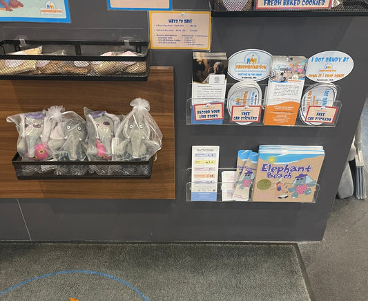 Elephant Beach books and stuffies displayed at Sandmagination in Peabody, MA