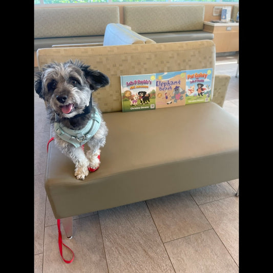 Tippy the dog sitting on a bench next to Christine Devane's books in the Tufts waiting room